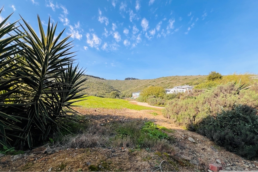 4 Bedroom Property for Sale in Baronetcy Estate Western Cape